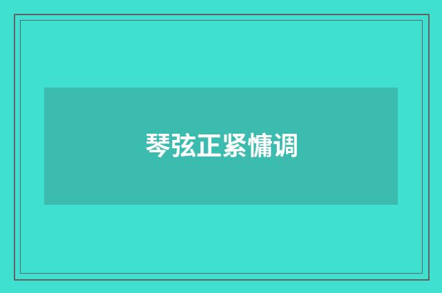 琴弦正紧慵调
