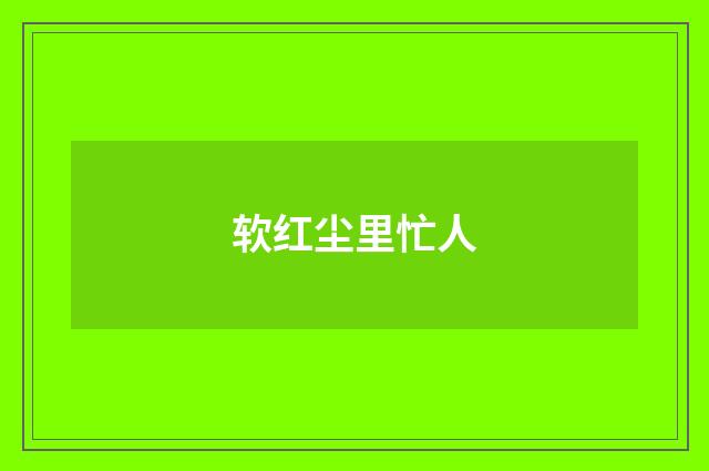 软红尘里忙人