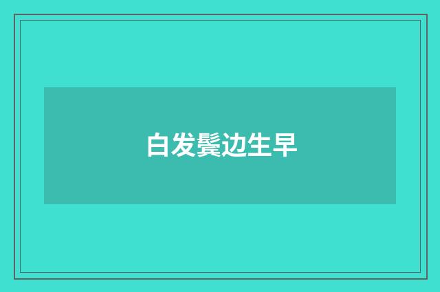 白发鬓边生早