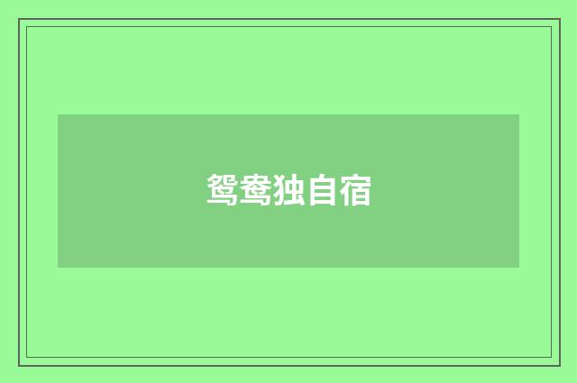 鸳鸯独自宿