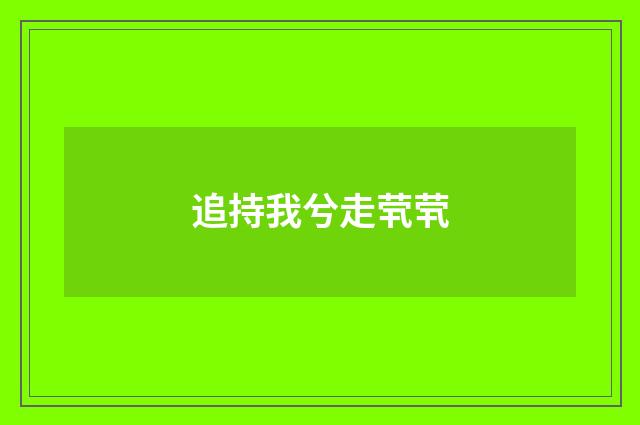 追持我兮走茕茕
