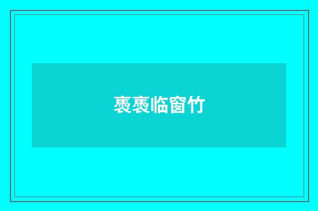 褭褭临窗竹
