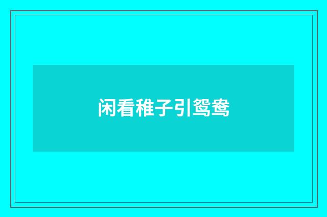 闲看稚子引鸳鸯