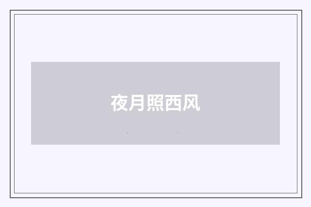 夜月照西风