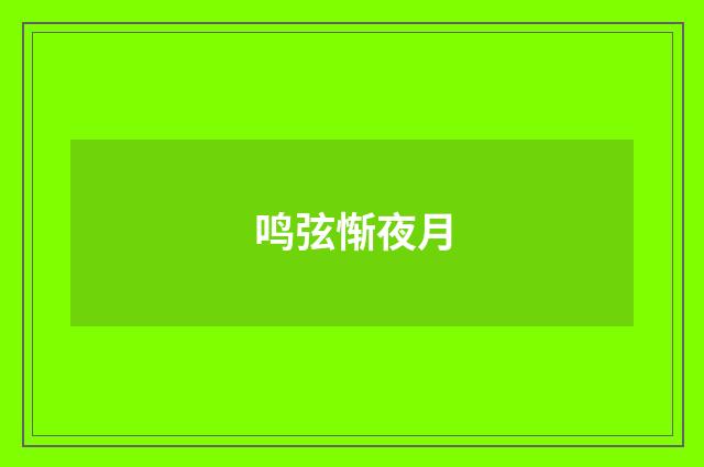 鸣弦惭夜月