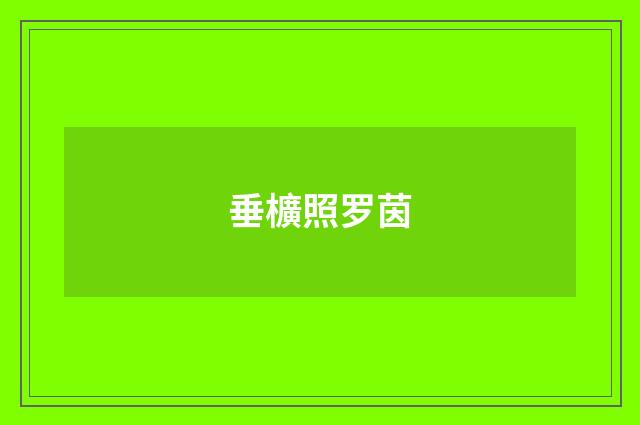 垂櫎照罗茵