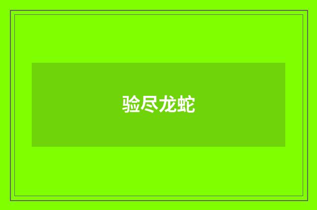 验尽龙蛇