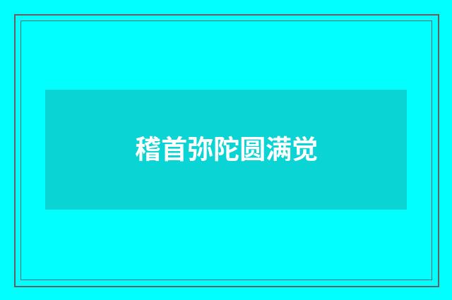 稽首弥陀圆满觉