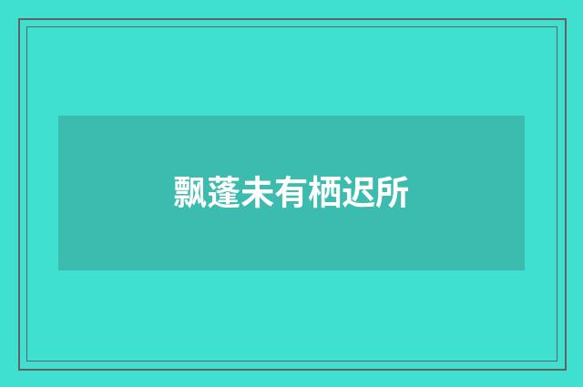 飘蓬未有栖迟所