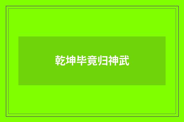 乾坤毕竟归神武