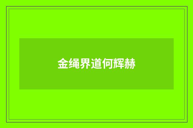 金绳界道何辉赫
