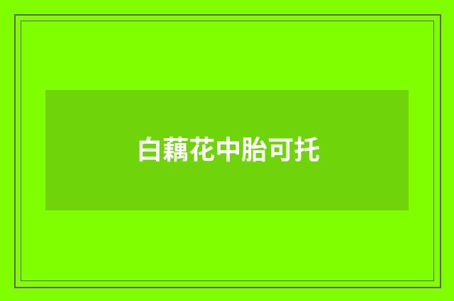 白藕花中胎可托