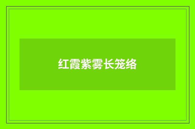 红霞紫雾长笼络