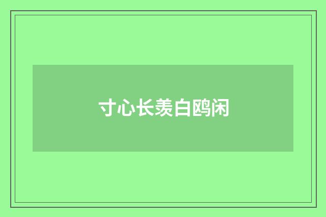 寸心长羡白鸥闲