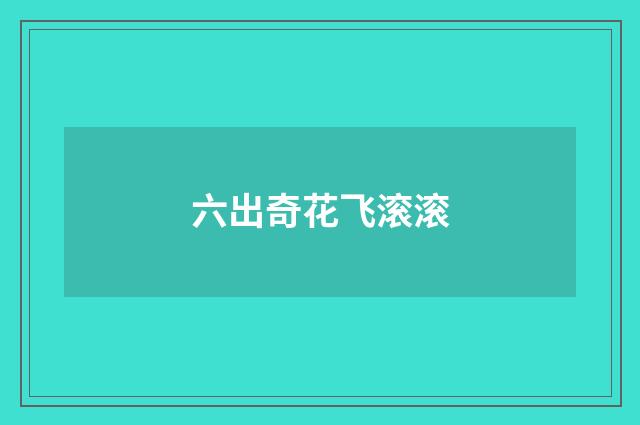 六出奇花飞滚滚
