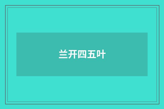 兰开四五叶
