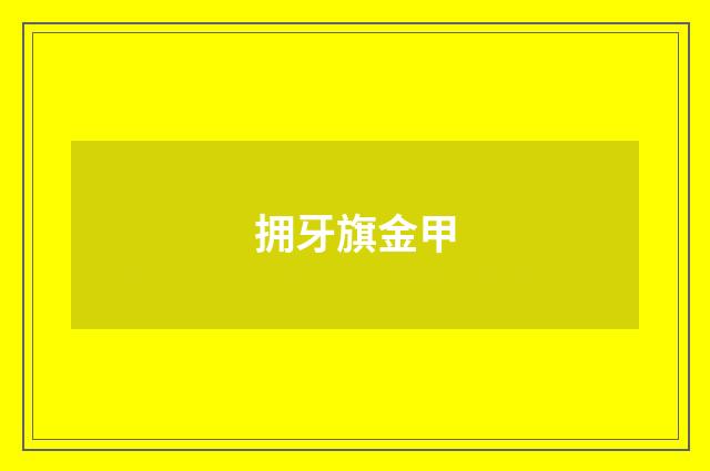 拥牙旗金甲