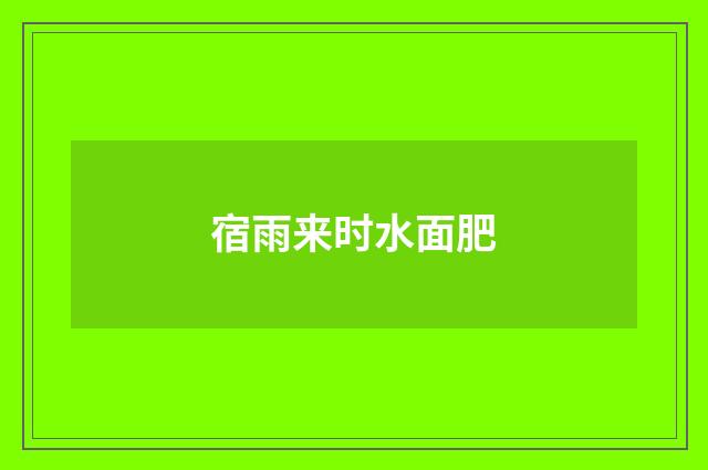 宿雨来时水面肥