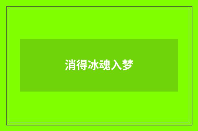消得冰魂入梦