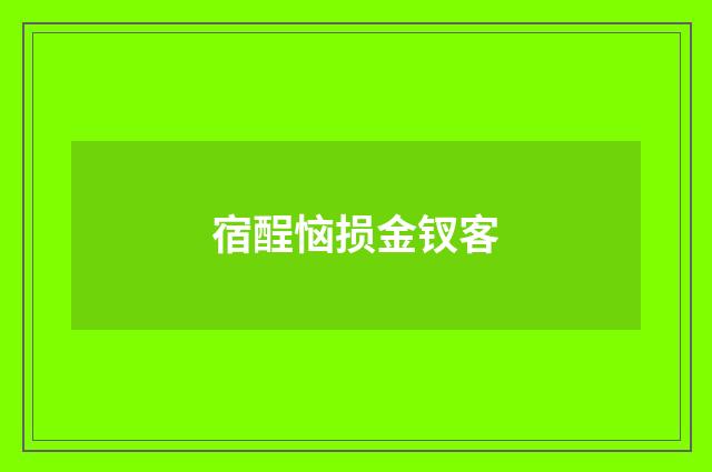 宿酲恼损金钗客