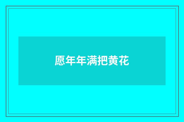 愿年年满把黄花