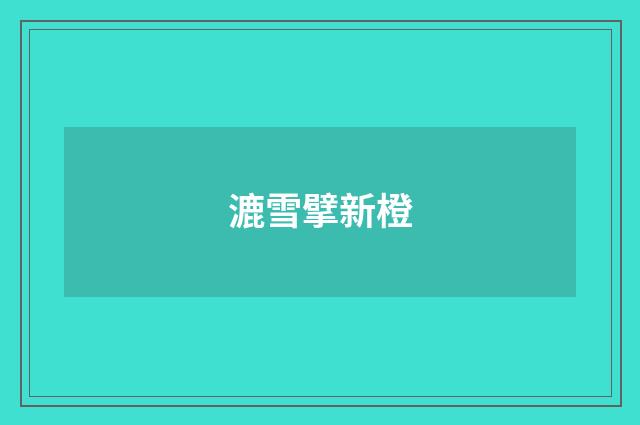 漉雪擘新橙
