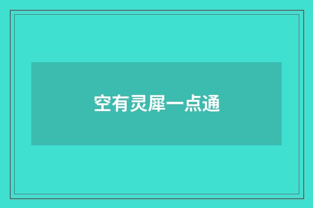 空有灵犀一点通