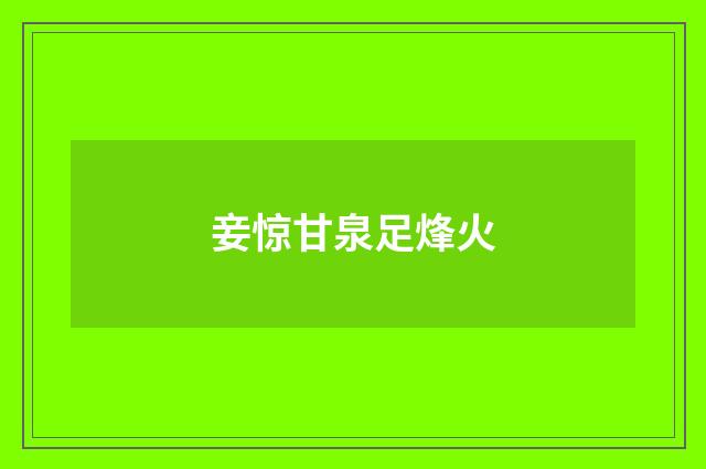 妾惊甘泉足烽火