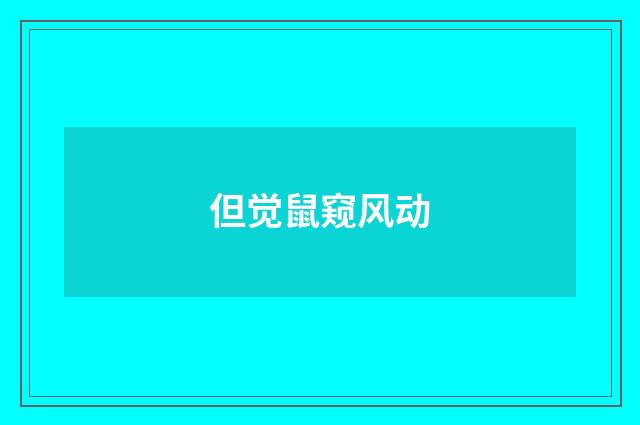 但觉鼠窥风动