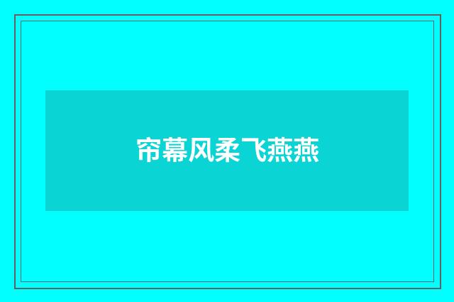 帘幕风柔飞燕燕