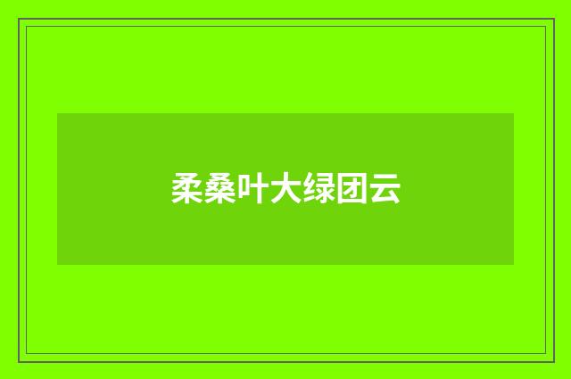 柔桑叶大绿团云