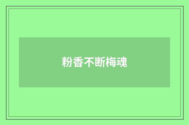 粉香不断梅魂