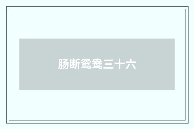 肠断鸳鸯三十六