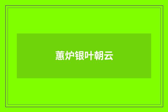 蕙炉银叶朝云