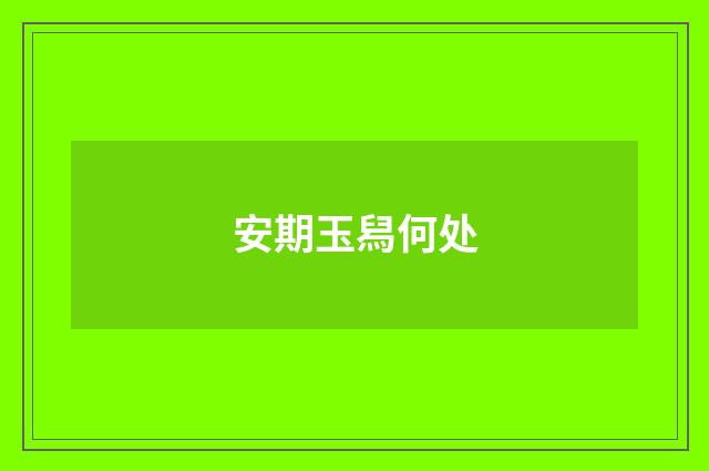 安期玉舄何处