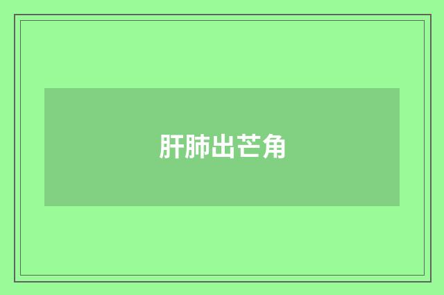 肝肺出芒角