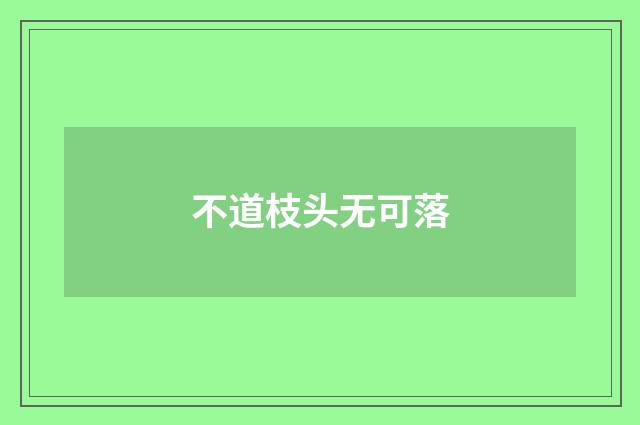 不道枝头无可落
