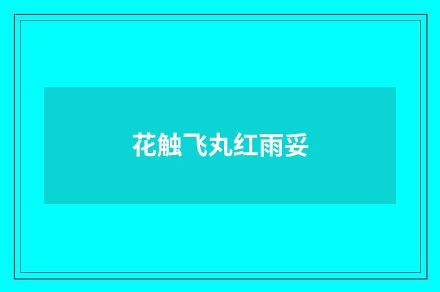 花触飞丸红雨妥