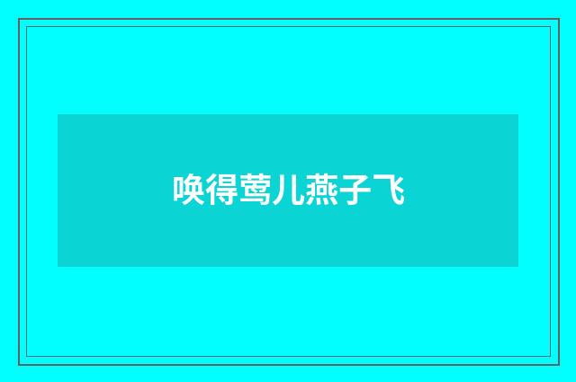 唤得莺儿燕子飞