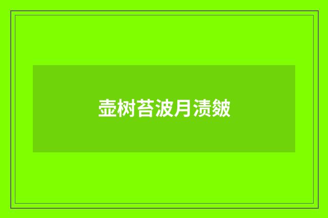 壶树苔波月渍皴
