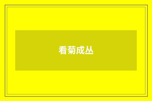看菊成丛