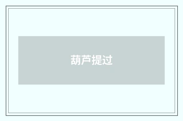 葫芦提过