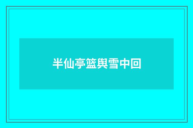 半仙亭篮舆雪中回