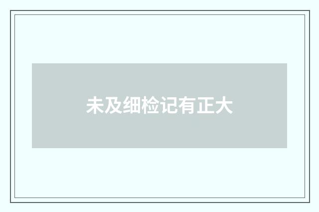 未及细检记有正大