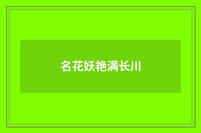 名花妖艳满长川