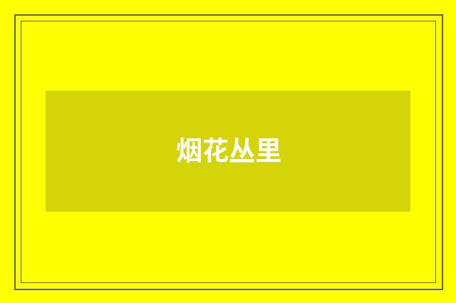 烟花丛里