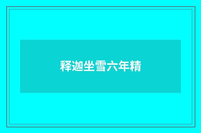 释迦坐雪六年精