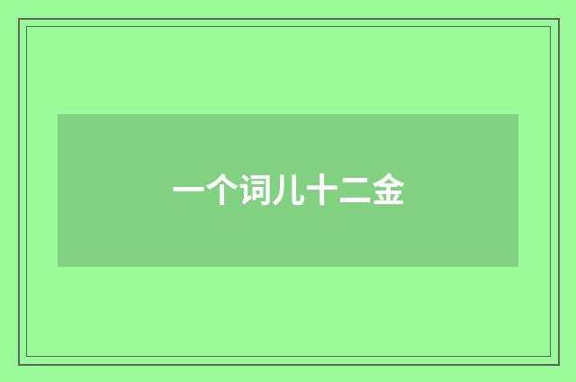 一个词儿十二金