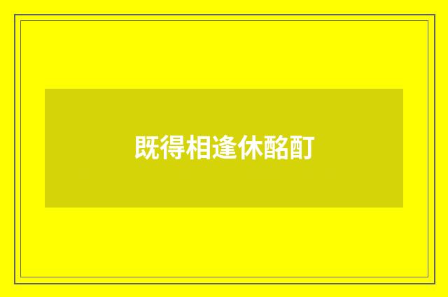 既得相逢休酩酊