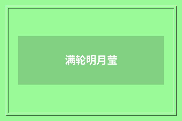 满轮明月莹